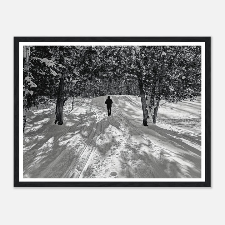 Serene Snowy Pathway in Monochrome Beauty by Studio Shefford - Photo Art Composition wall art print