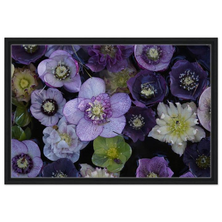 f40e5200-4eb9-48bd-9167-9bc4cb6895ab