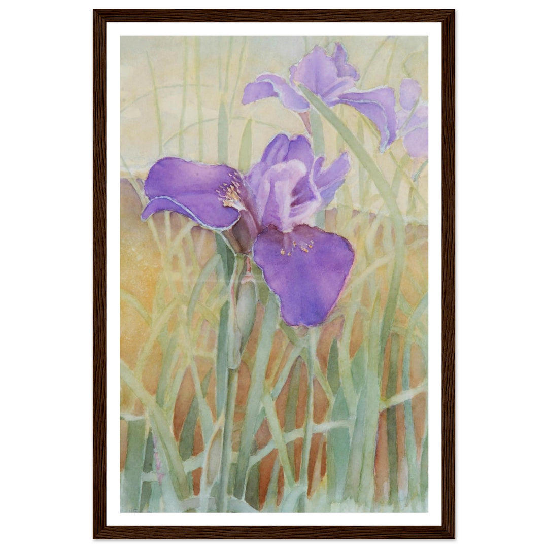 Vibrant Iris Blossoms: A Watercolor Celebration of Nature's Beauty by Veronique Semple - Watercolor wall art print