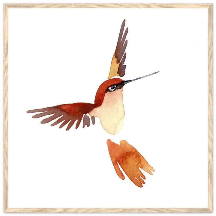 Graceful Hummingbird: Exquisite Watercolor Art Print by Andrew Semple - Watercolor watercolor print for home decor