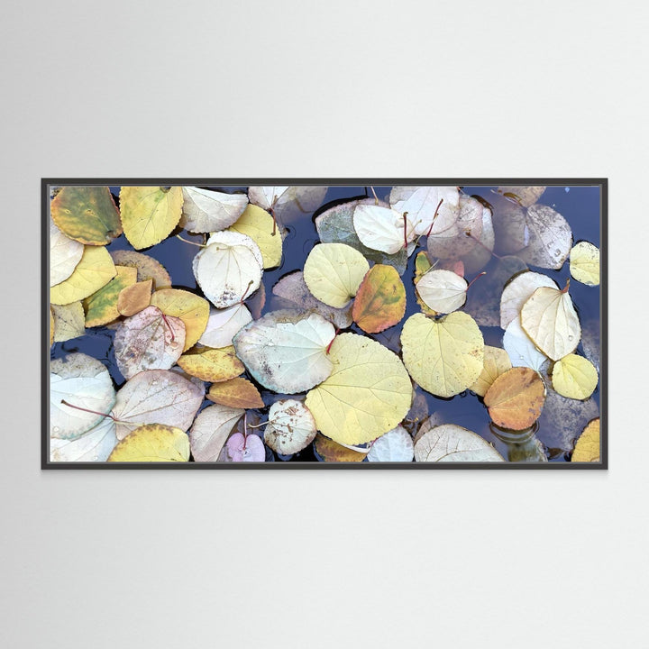 Floating Leaves Nature Photography Wall Art