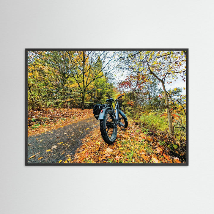 Fat Bike on Fall Path by Studio Shefford - Photo Art Composition landscape photography print for home decor