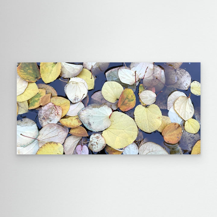 Floating Leaves Nature Photography Wall Art by Andrew Semple - Photography botanical/nature print for home decor