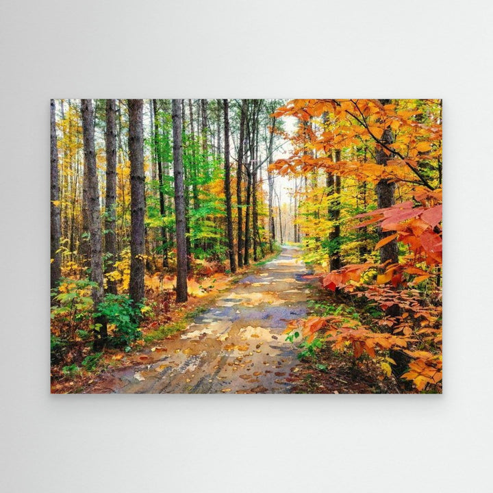 "Colors of Bromont" Tranquil Pathway Through Fall Foliage - Canvas Art Print Framed Options