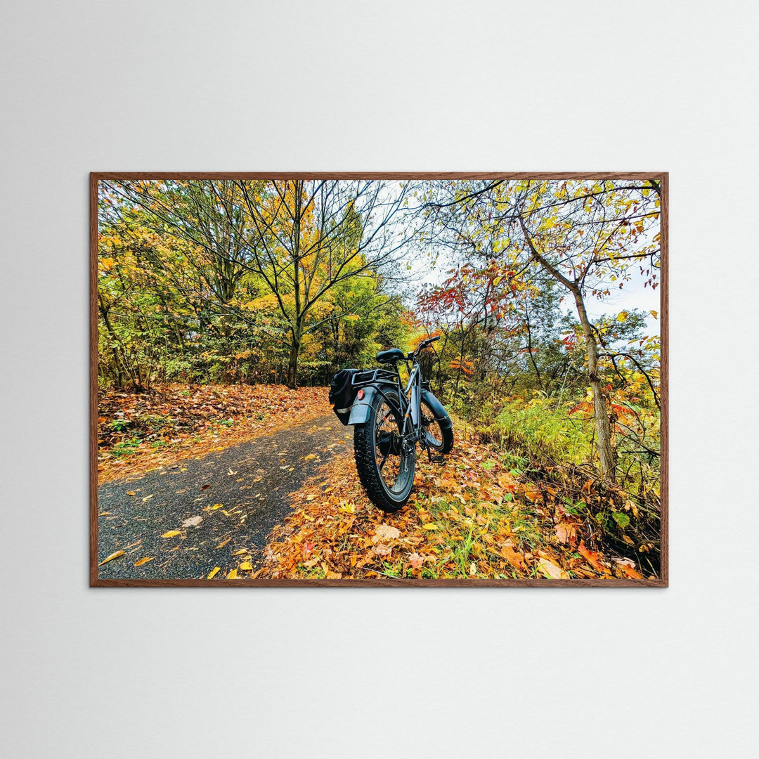 Fat Bike on Fall Path - Art Print Framed Options